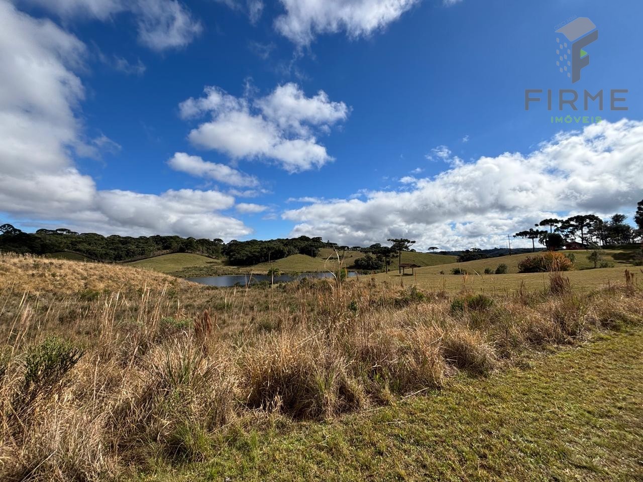 WhatsApp Image 2025-07-16 at 06.18.18 (3).jpeg