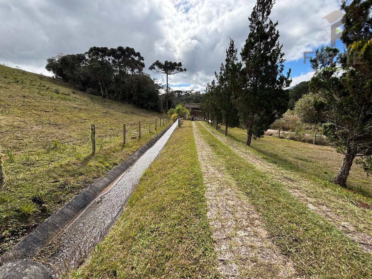 WhatsApp Image 2025-07-16 at 06.18.25 (3).jpeg