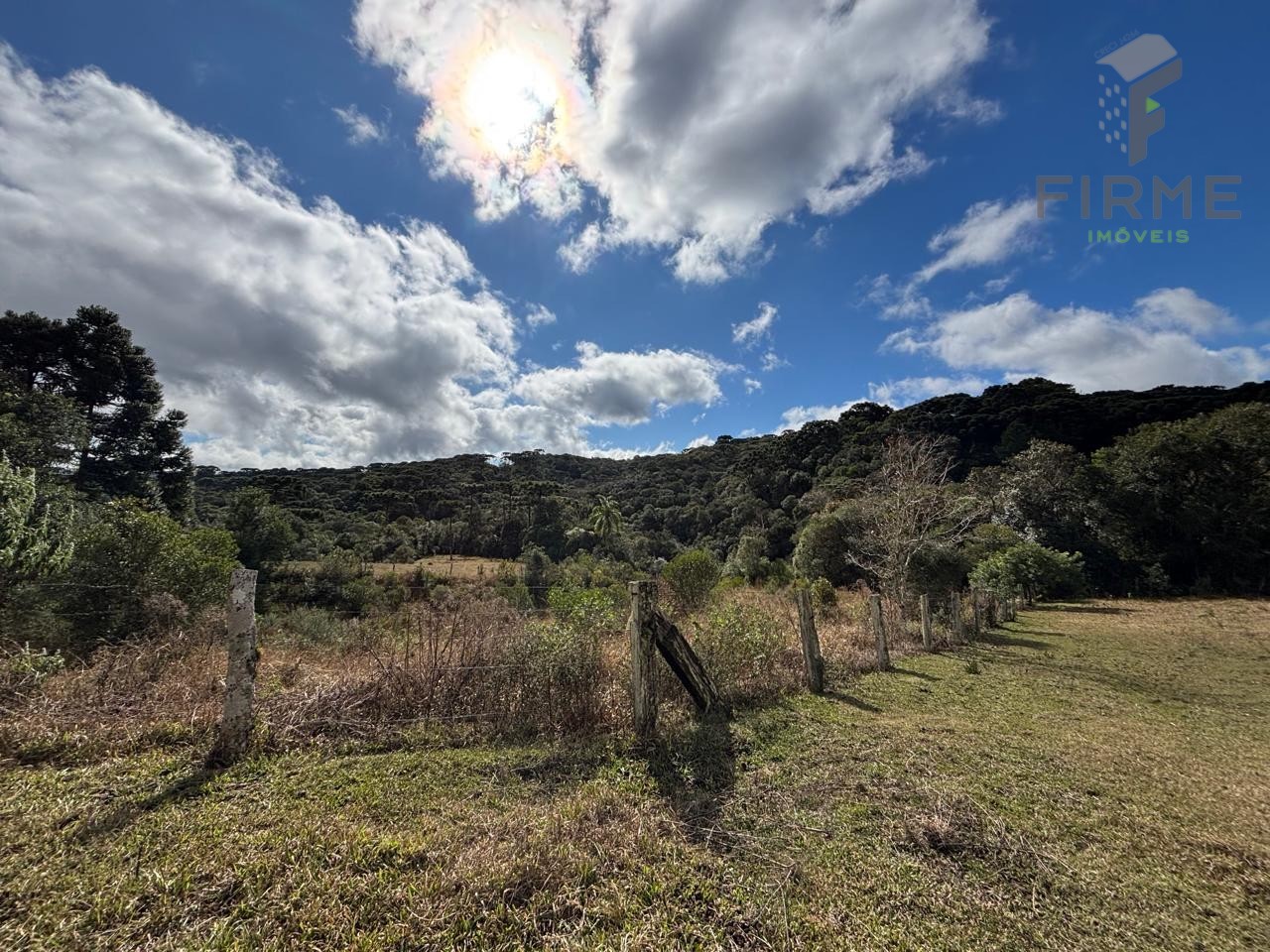 WhatsApp Image 2025-07-16 at 06.18.14 (1).jpeg