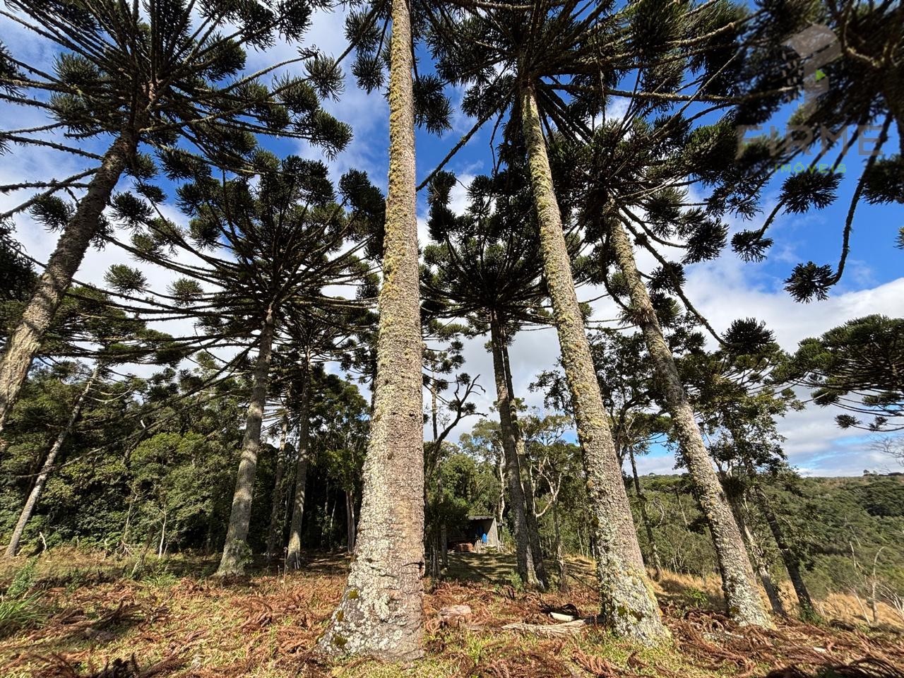 WhatsApp Image 2025-07-16 at 06.18.16.jpeg