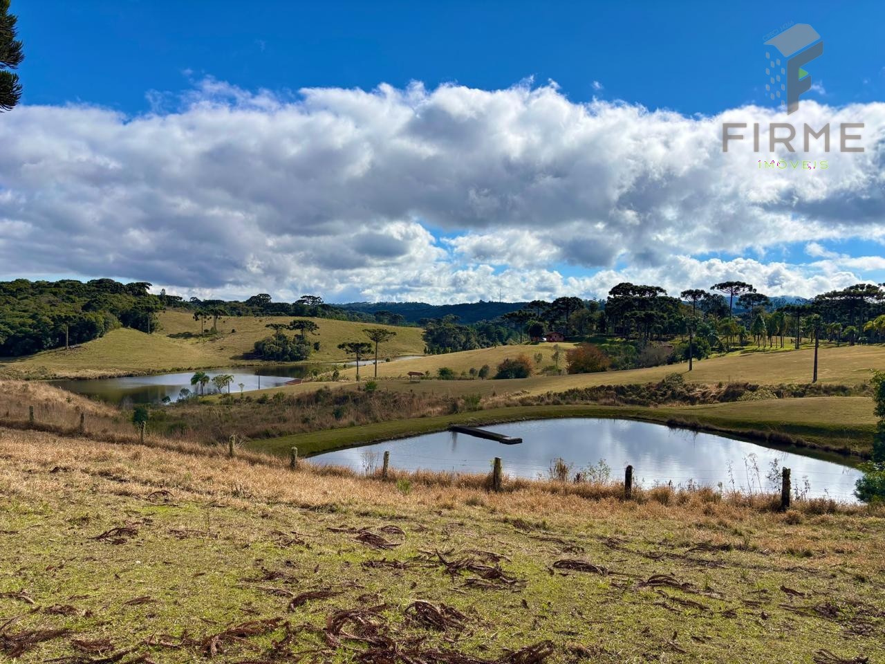 WhatsApp Image 2025-07-16 at 06.18.17.jpeg