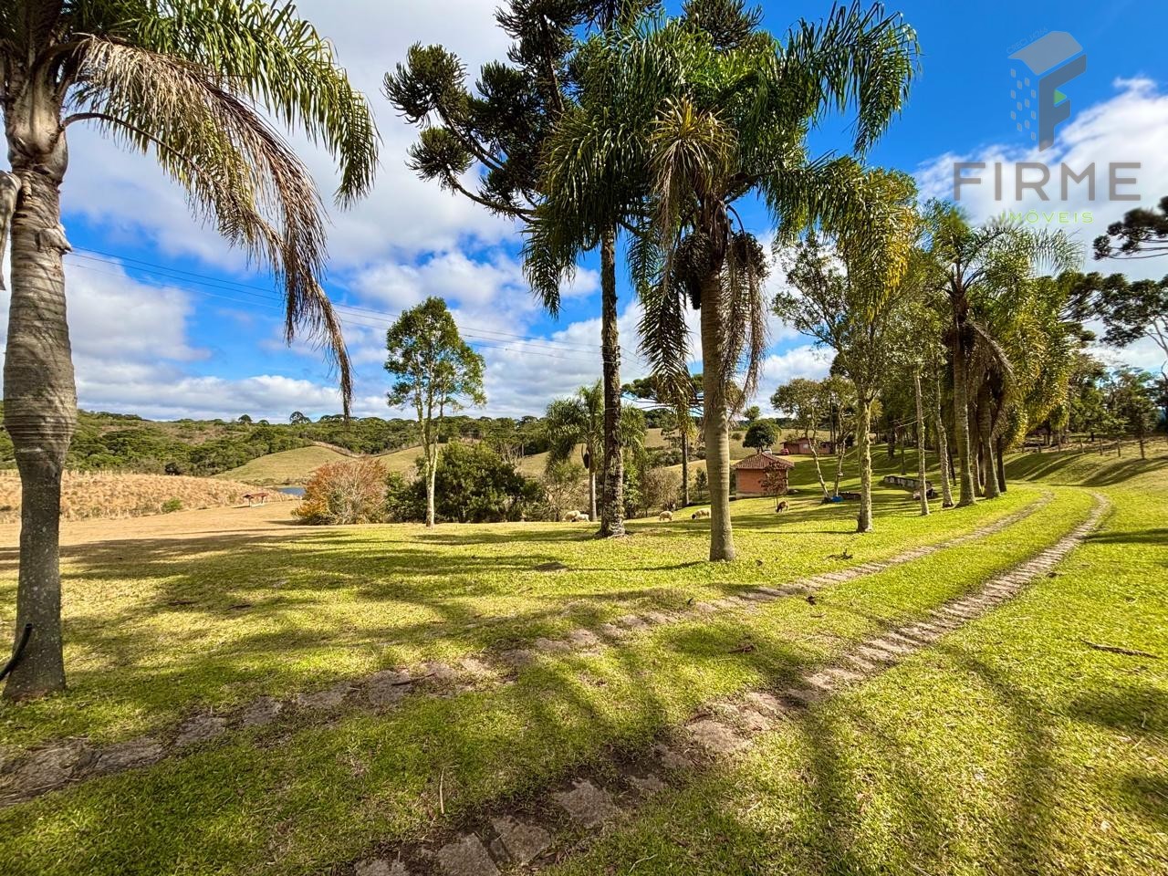 WhatsApp Image 2025-07-16 at 06.18.24 (1).jpeg