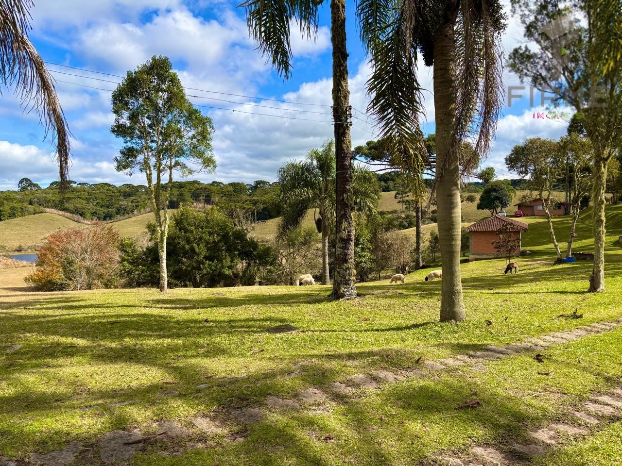 WhatsApp Image 2025-07-16 at 06.18.24 (2).jpeg