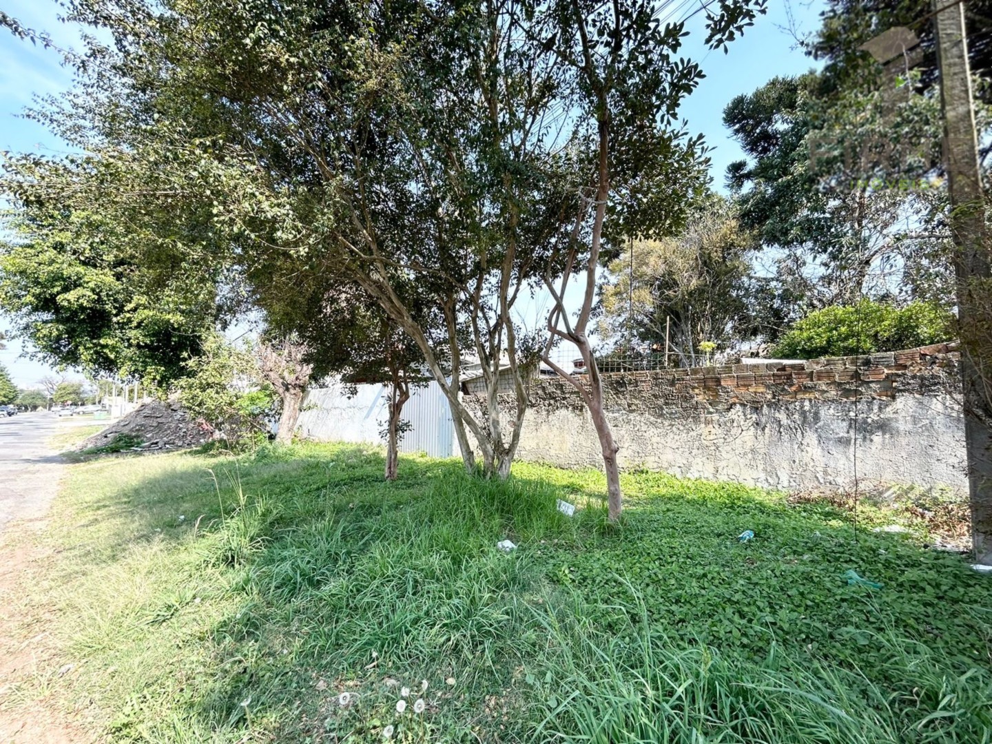 10.jfif