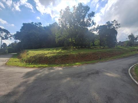 Terreno para venda no Vila Conceicao em Campo Largo com 1.239,16m² por R$ 450.000,00