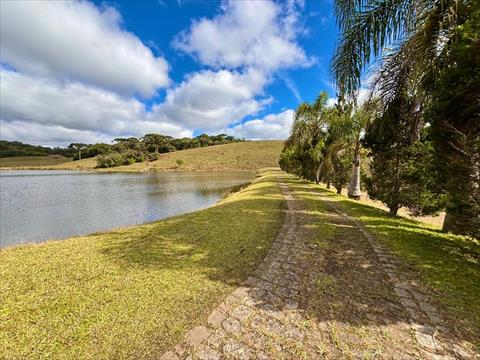 Fazenda para venda no Vila Fuck em Piraquara com 439.485m² por R$ 8.500.000,00