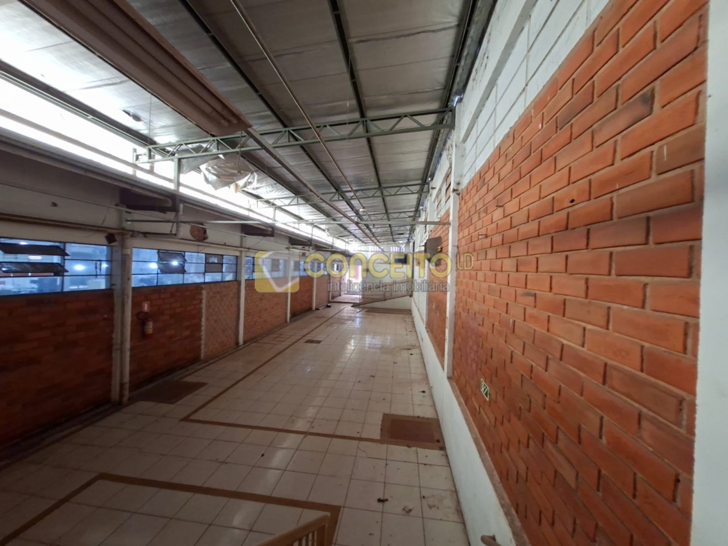 WhatsApp Image 2026-02-03 at 15.54.30 (1).jpeg