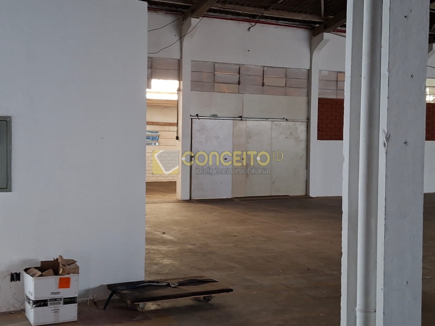 WhatsApp Image 2026-02-03 at 15.54.33 (1).jpeg