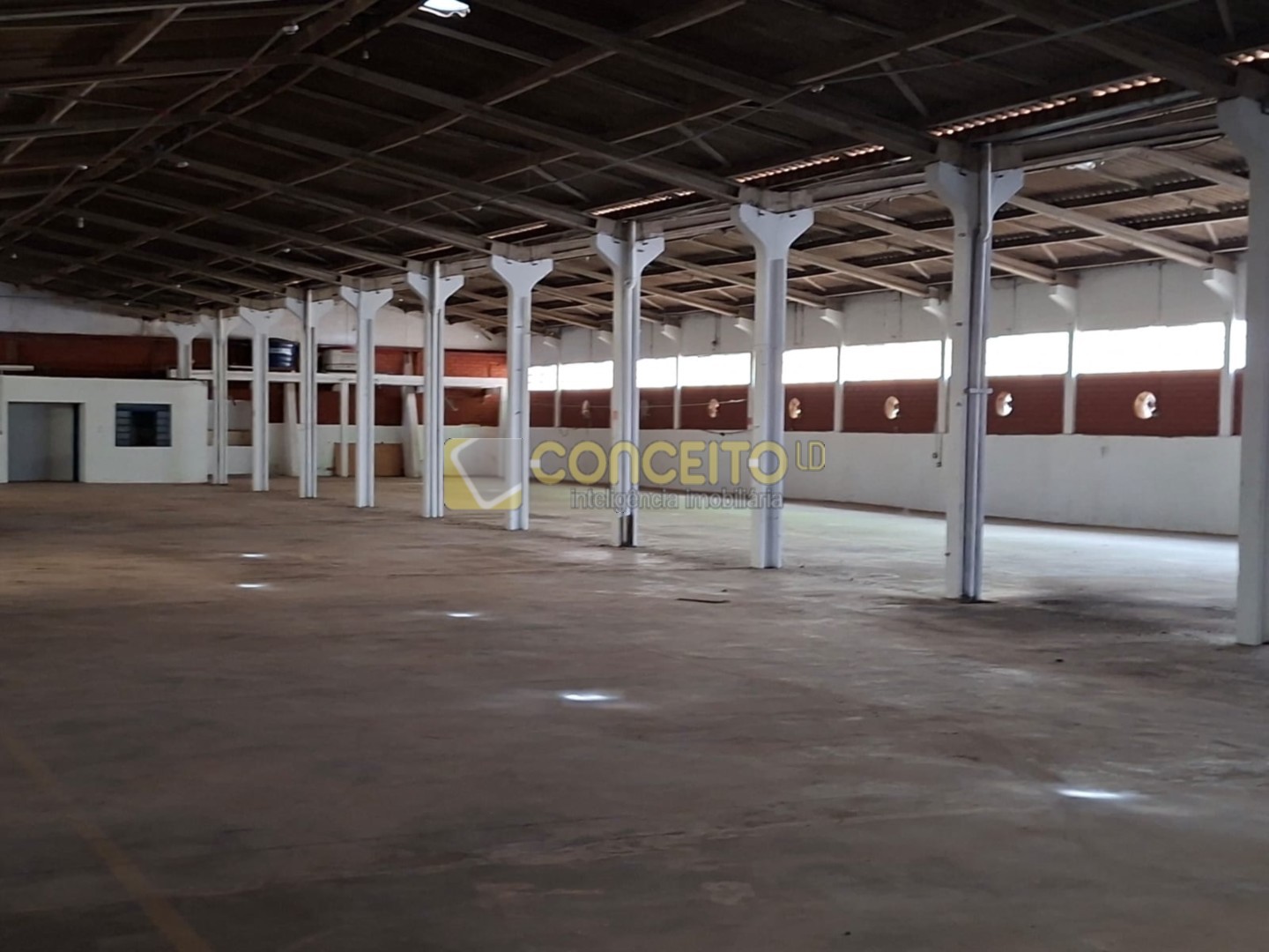 WhatsApp Image 2026-02-03 at 15.54.34.jpeg