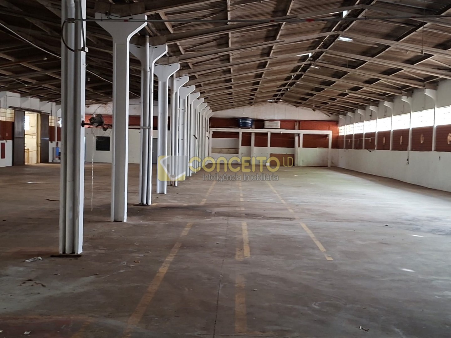 WhatsApp Image 2026-02-03 at 15.54.35.jpeg