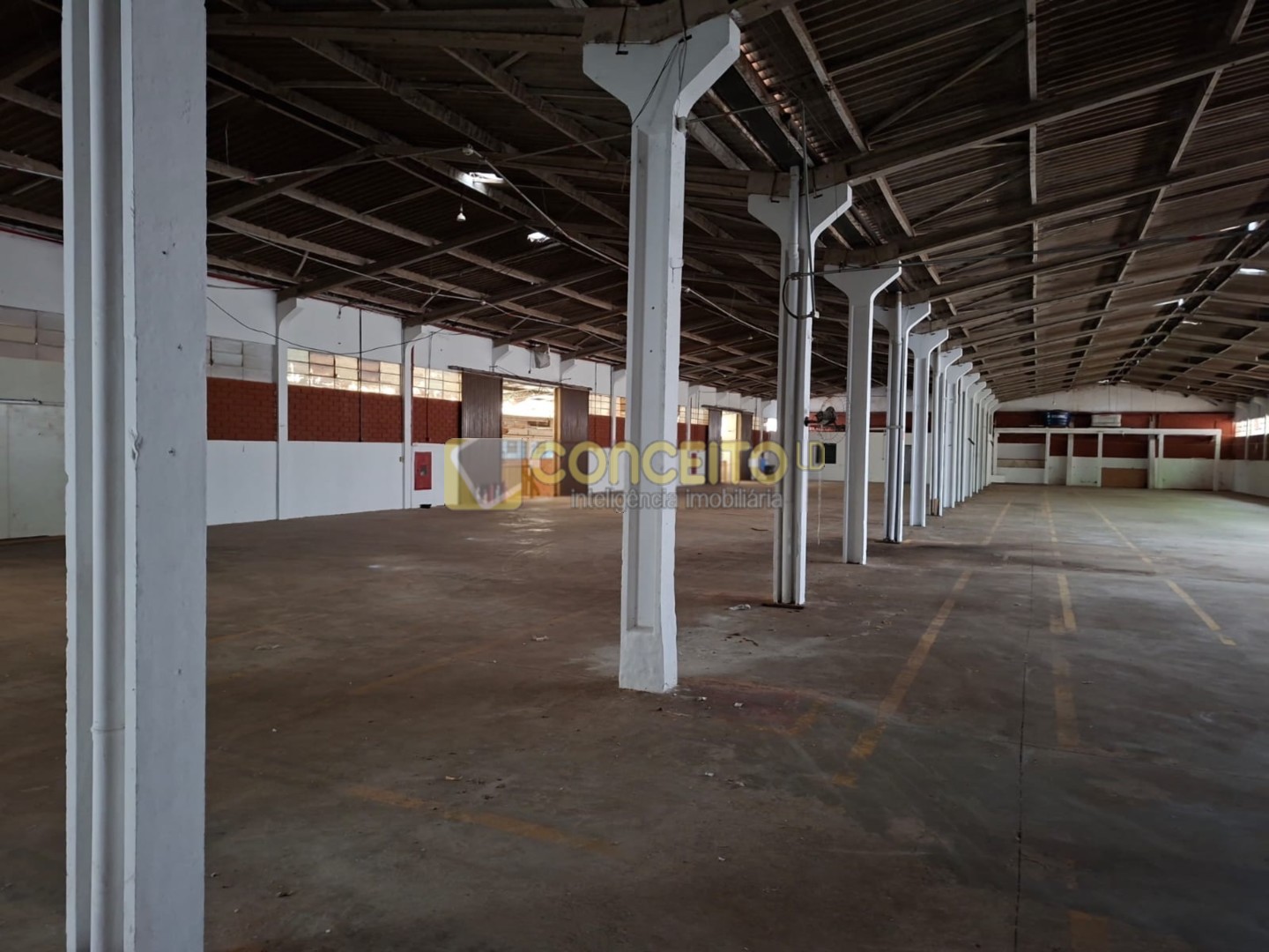 WhatsApp Image 2026-02-03 at 15.54.36 (1).jpeg