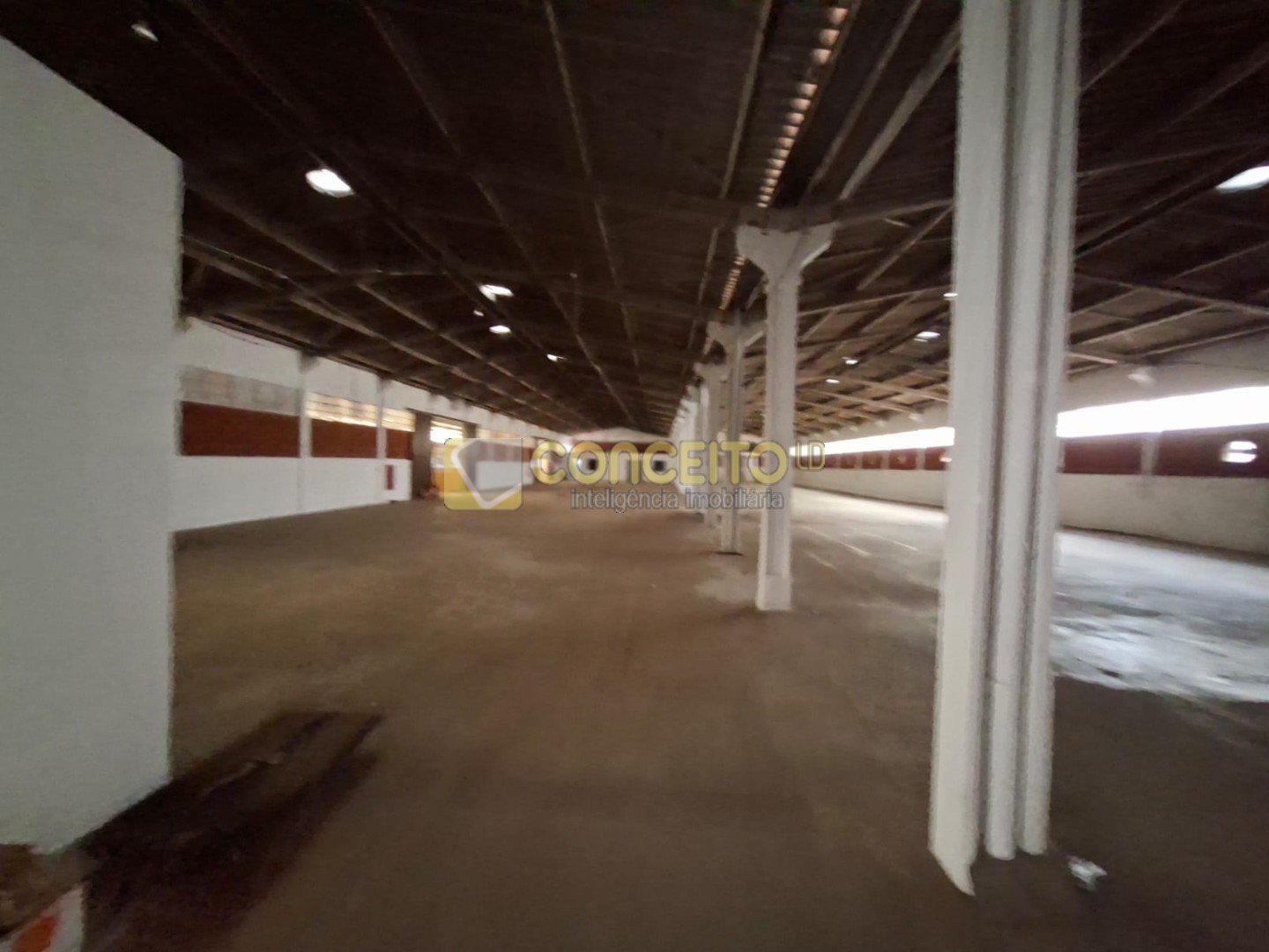 WhatsApp Image 2026-02-03 at 15.54.36 (2).jpeg