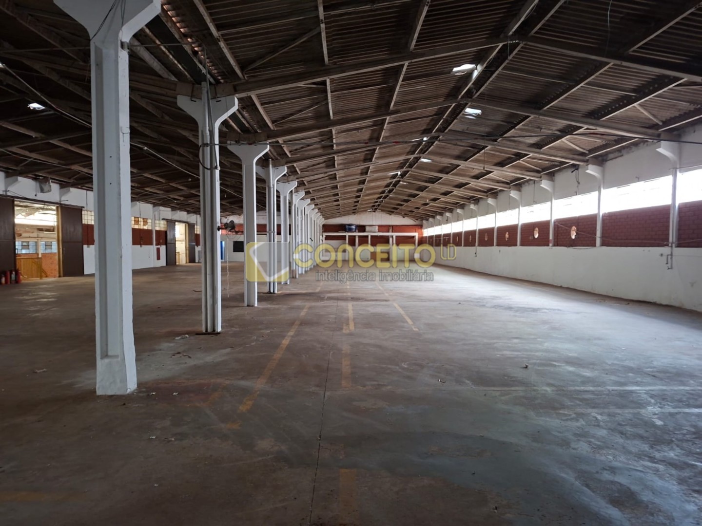 WhatsApp Image 2026-02-03 at 15.54.37 (1).jpeg