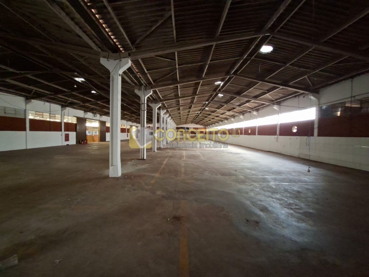 WhatsApp Image 2026-02-03 at 15.54.37.jpeg