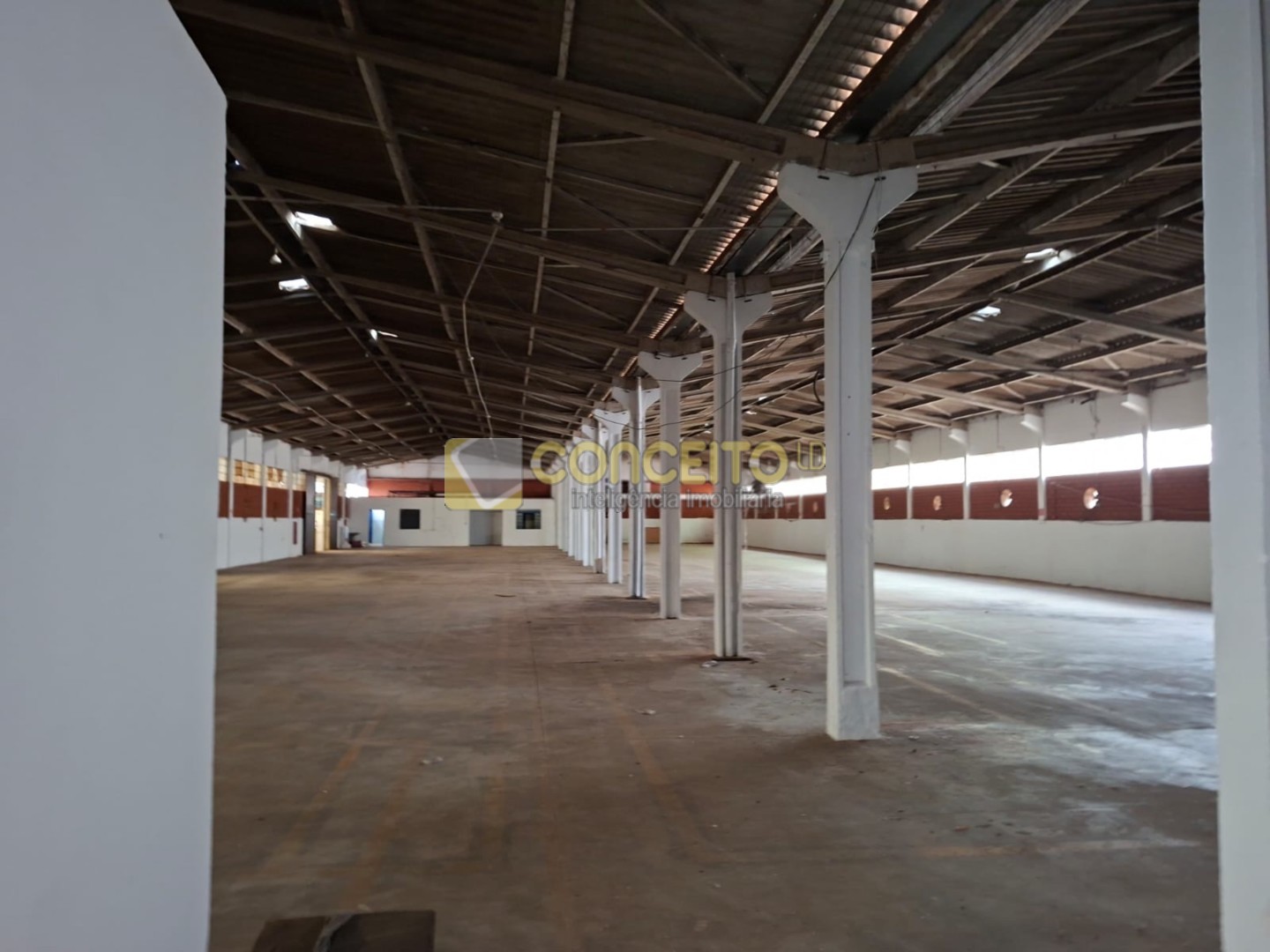 WhatsApp Image 2026-02-03 at 15.54.38 (1).jpeg