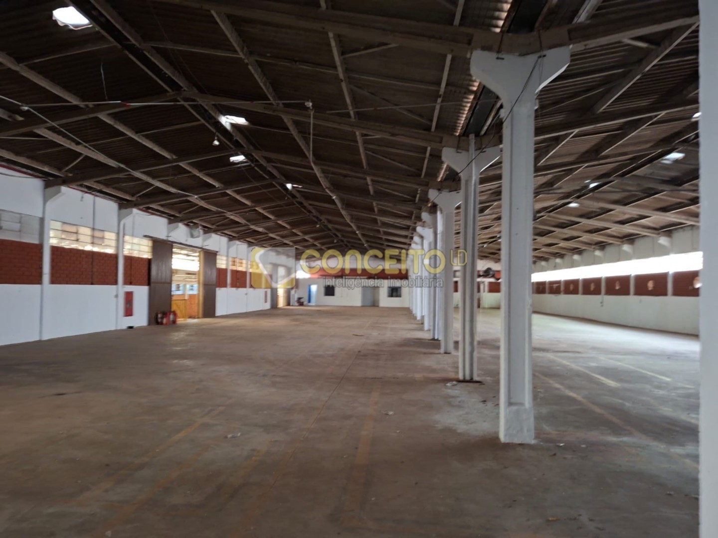 WhatsApp Image 2026-02-03 at 15.54.38.jpeg