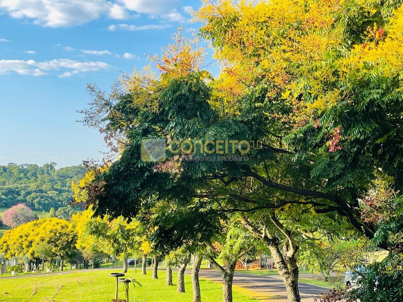 Terreno para venda no Area Rural de Cambe em Cambe com 1.250m² por R$ 900.000,00