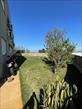 IMG-20241216-WA0017.jpg