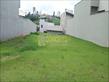 IMG-20241210-WA0053.jpg