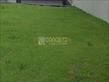 IMG-20241210-WA0055.jpg