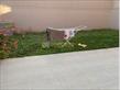 IMG-20250228-WA0046.jpg