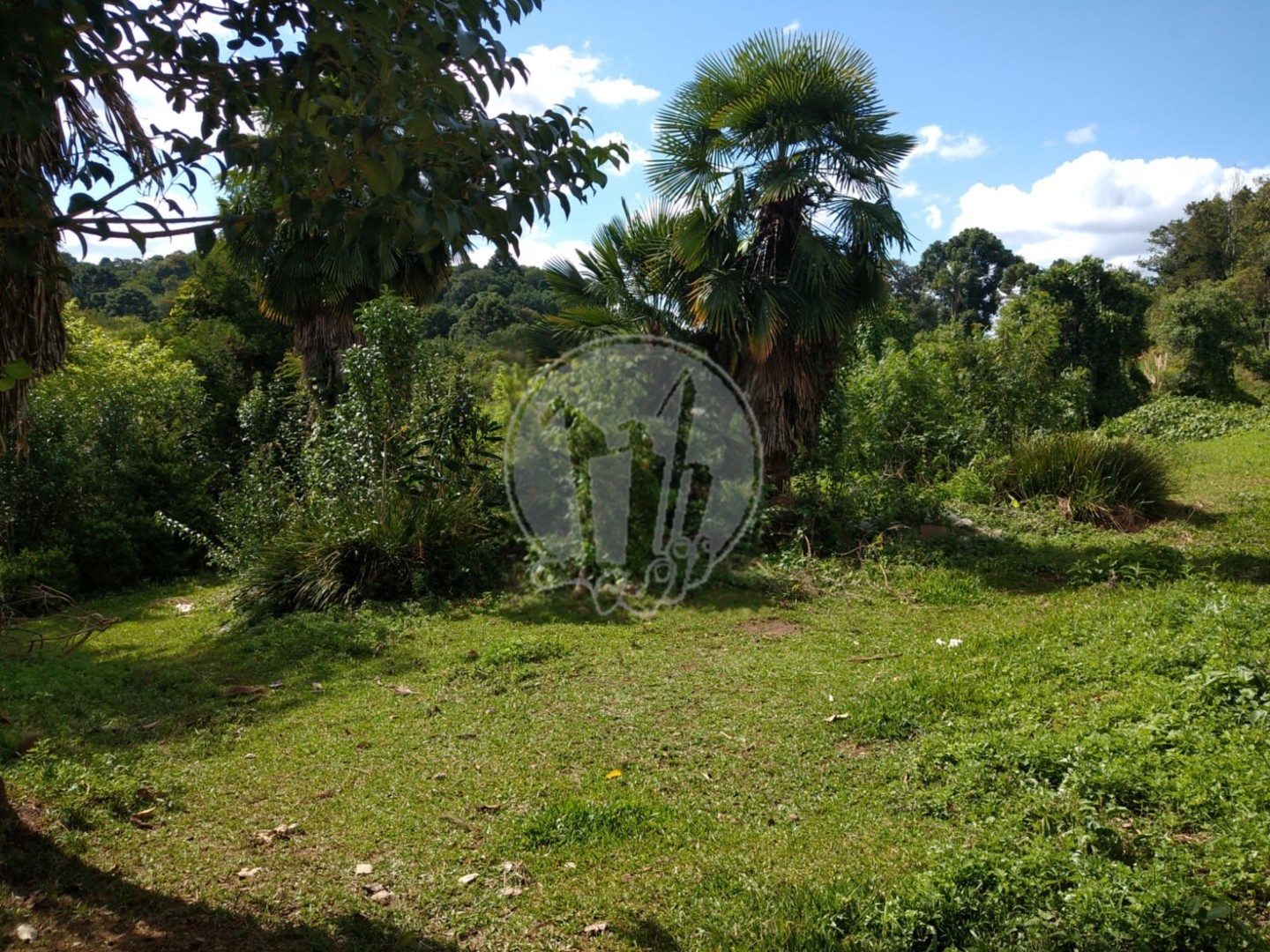 Terreno/Área à venda em Taboao, Curitiba — Portal Chave Fácil