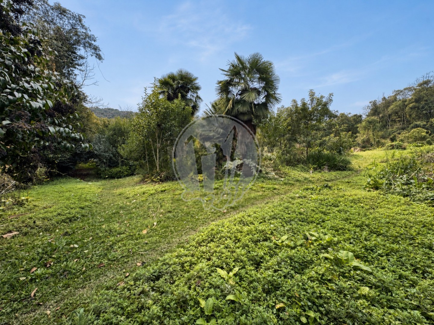 Terreno para venda no Taboao em Curitiba com 0m² por R$ 548.000,00