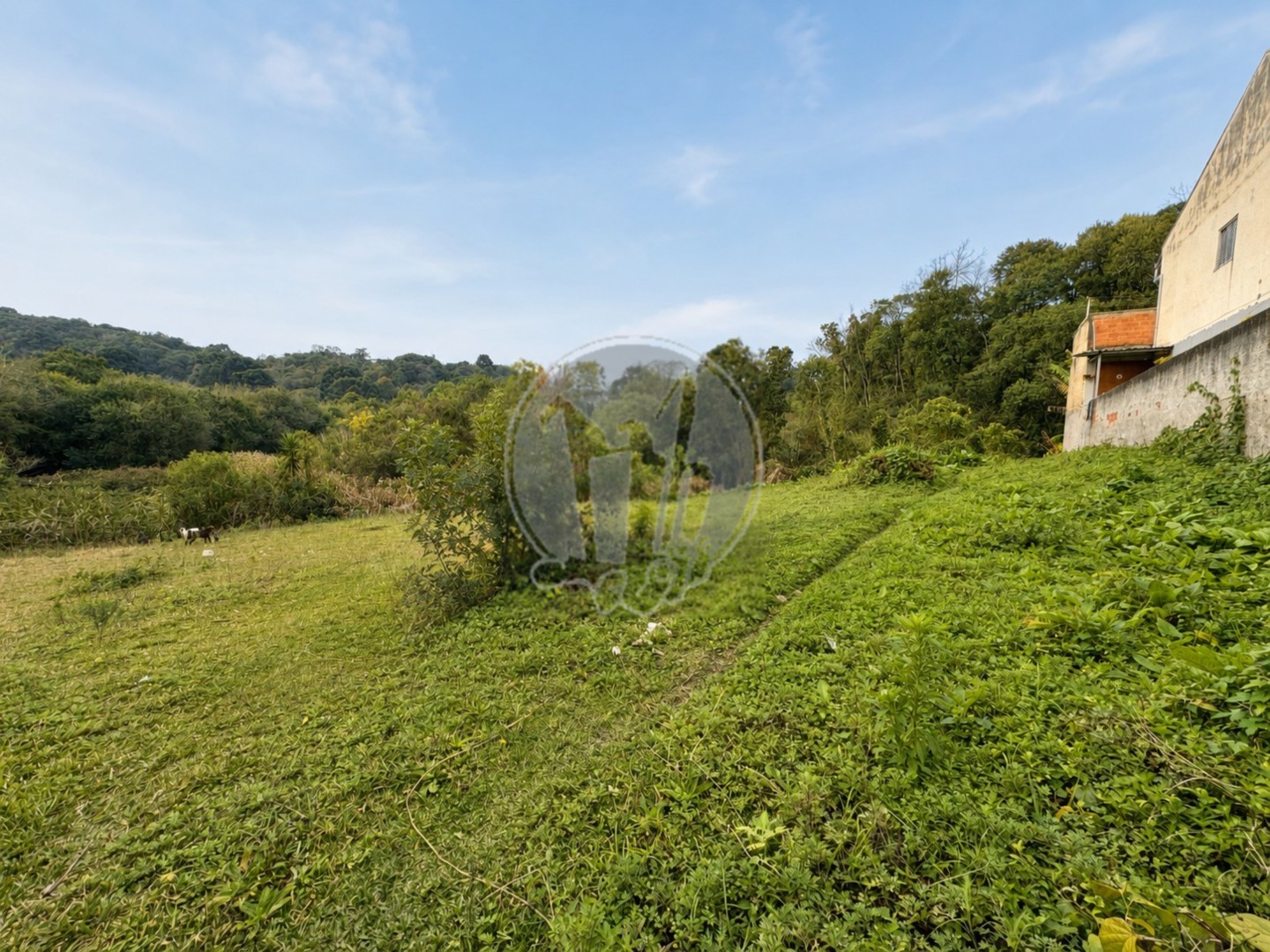 Terreno/Área à venda em Taboao, Curitiba — Portal Chave Fácil