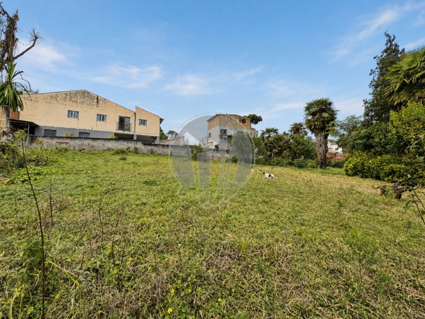 Terreno/Área à venda em Taboao, Curitiba — Portal Chave Fácil