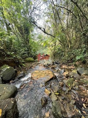 Chácara para venda no Pedra Branca de Araraquara em Guaratuba com 30.161,5m² por R$ 600.000,00