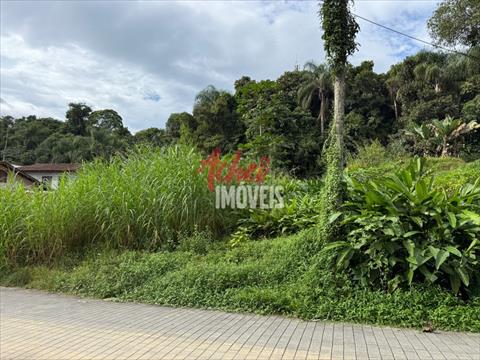 Terreno para venda no Bom Retiro em Joinville com 800m² por R$ 590.000,00