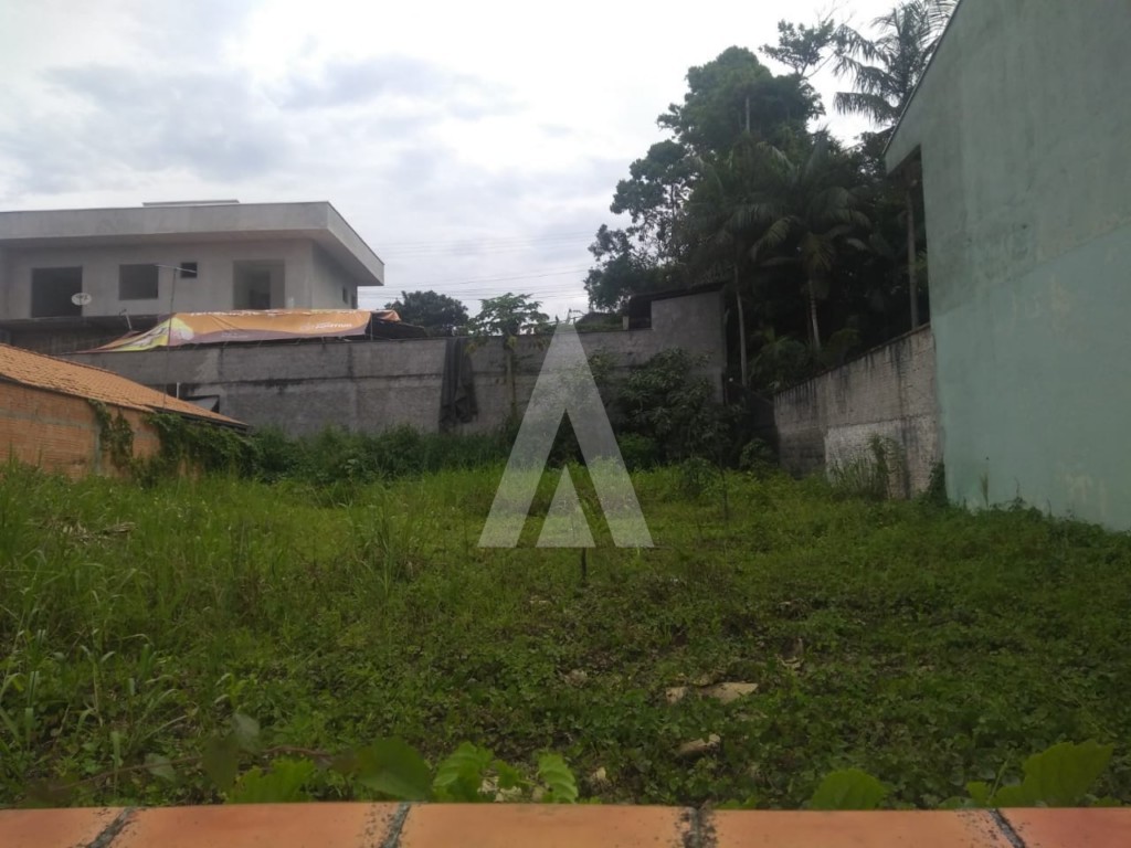 Terreno com 386 m no bairro João Costa em Joinville - SC — foto 2