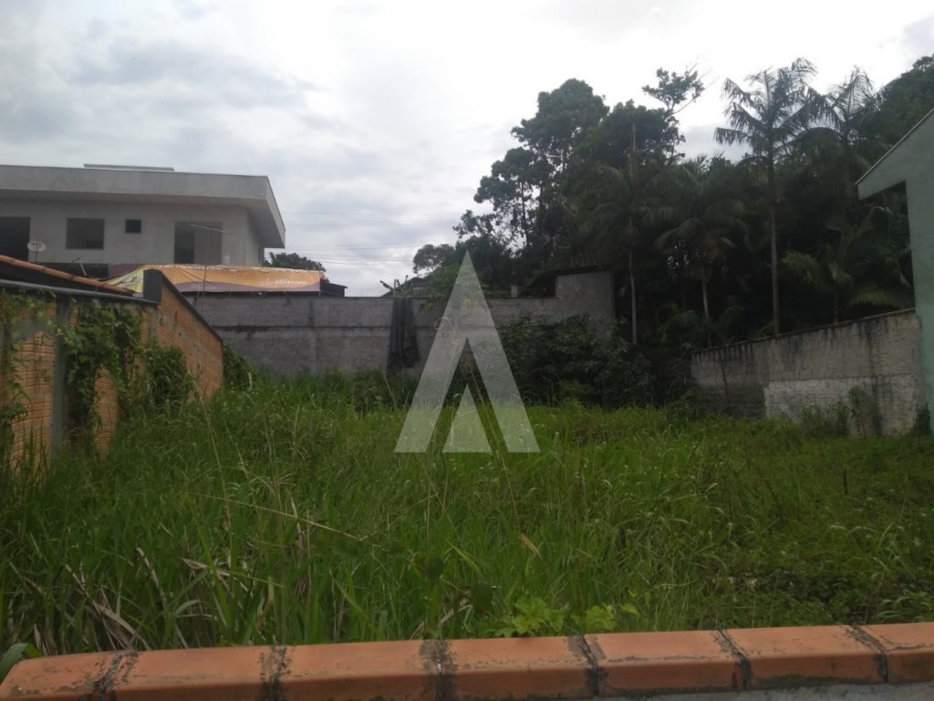 Terreno com 386 m no bairro João Costa em Joinville - SC — foto 3
