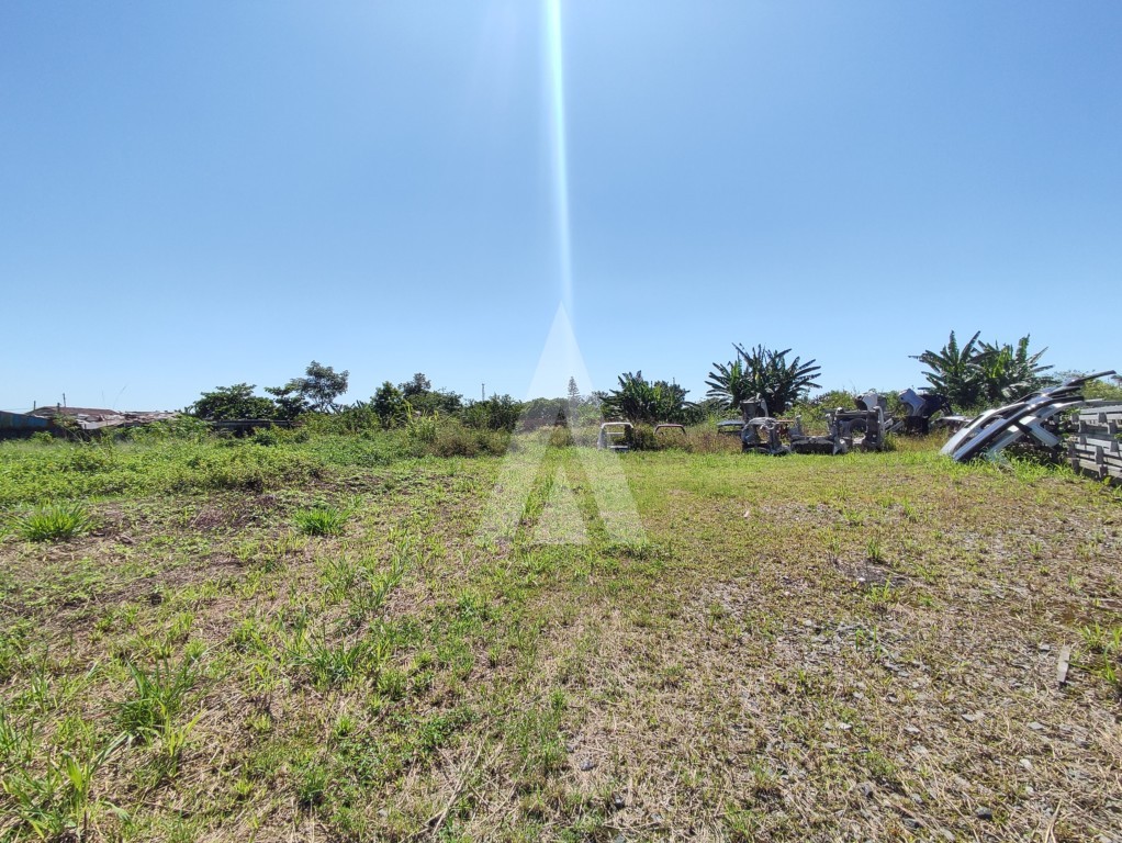 Terreno para alugar por R$ 2500.00, 1129.00 m2 - GUANABARA - JOINVILLE/SC — foto 7