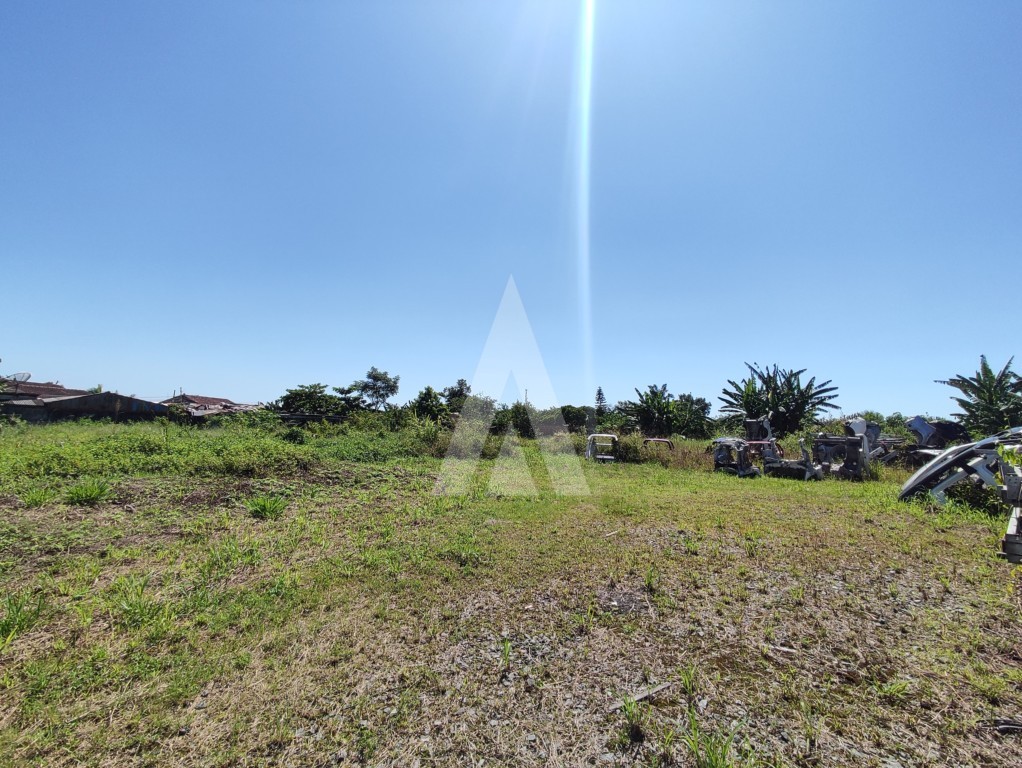 Terreno para alugar por R$ 2500.00, 1129.00 m2 - GUANABARA - JOINVILLE/SC — foto 6