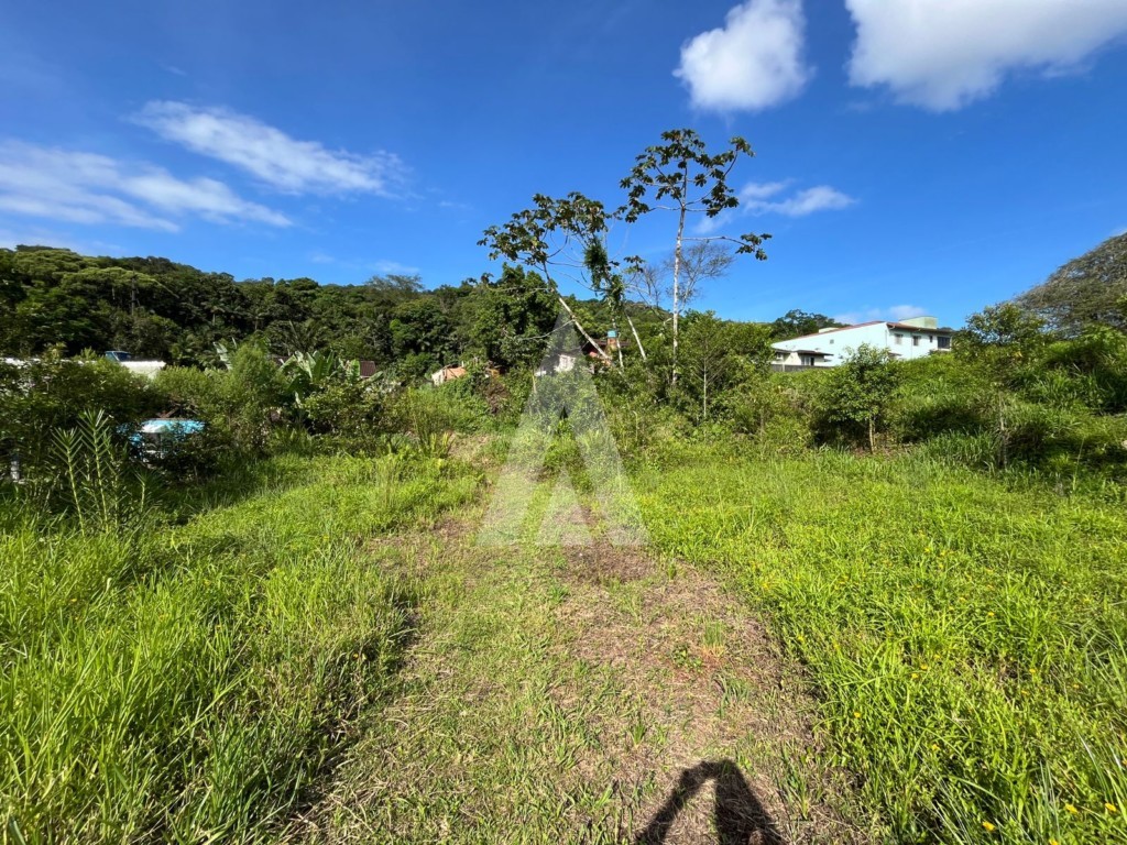 Terreno para alugar por R$ 4900.00, 1392.00 m2 - IRIRIU - JOINVILLE/SC — foto 2