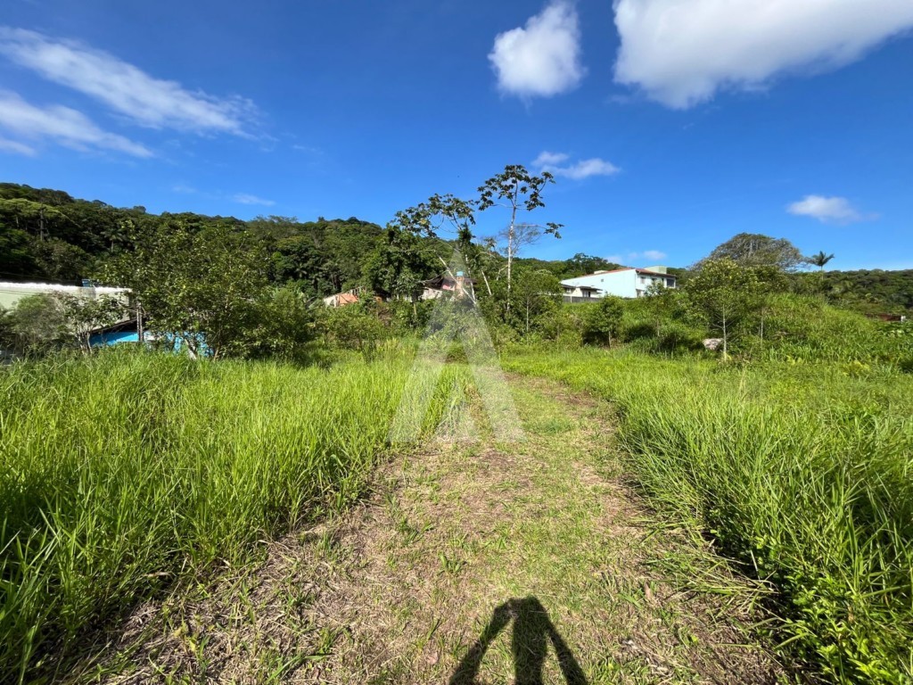 Terreno para alugar por R$ 4900.00, 1392.00 m2 - IRIRIU - JOINVILLE/SC — foto 5