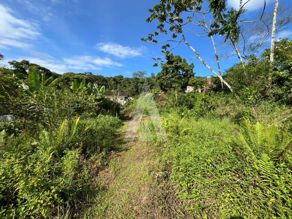Terreno para alugar por R$ 4900.00, 1392.00 m2 - IRIRIU - JOINVILLE/SC — foto 6