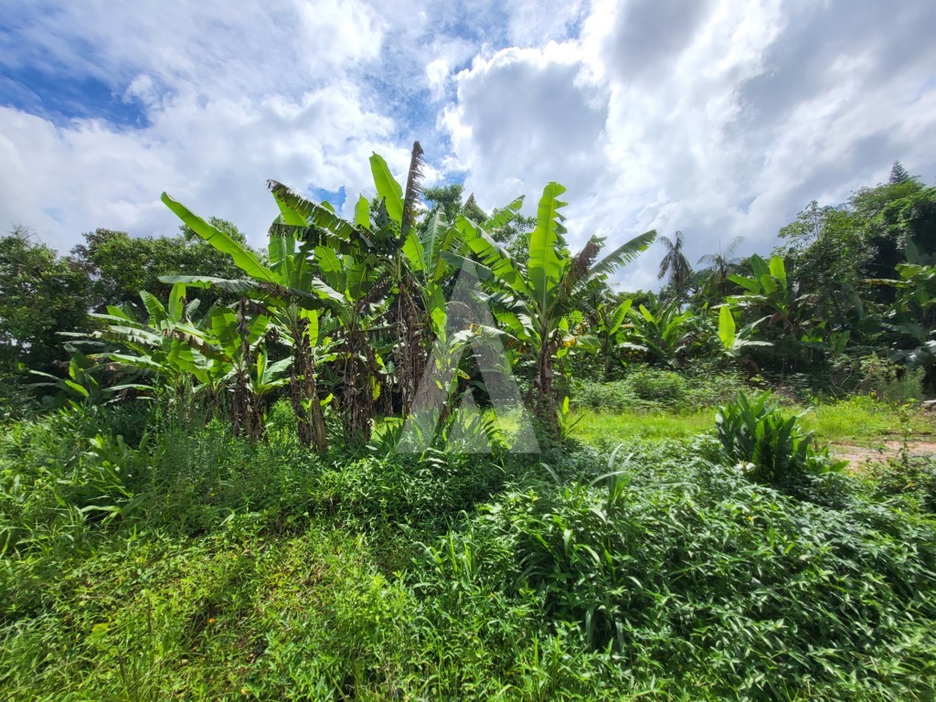Terreno para alugar por R$ 2100.00, 1900.00 m2 - VILA NOVA - JOINVILLE/SC — foto 3