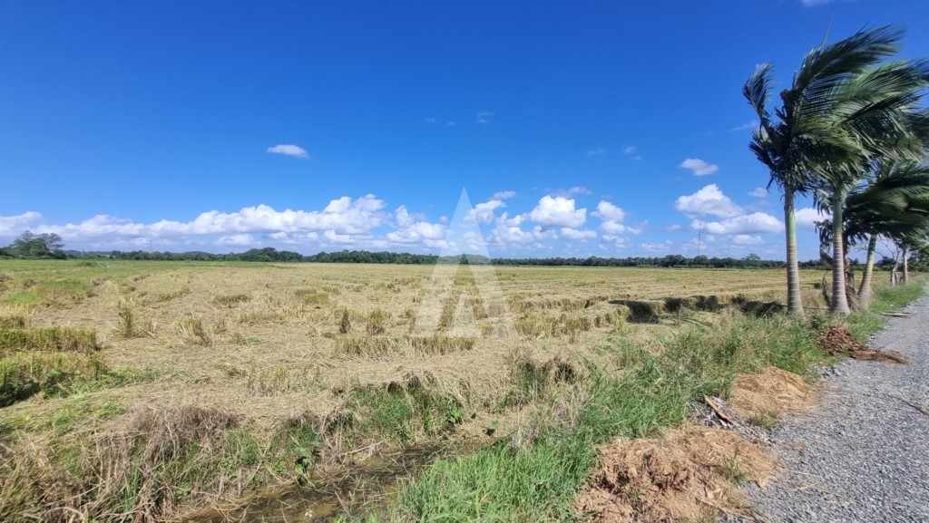 Terreno para alugar por R$ 15000.00, 10000.00 m2 - MORRO DO MEIO - JOINVILLE/SC - foto 1