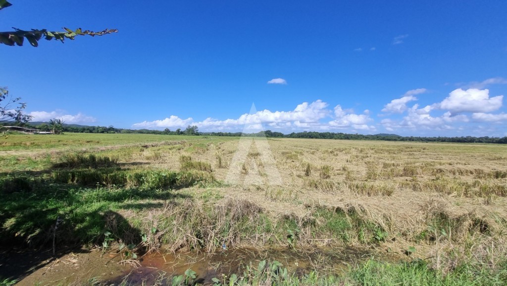 Terreno para alugar por R$ 15000.00, 10000.00 m2 - MORRO DO MEIO - JOINVILLE/SC — foto 2