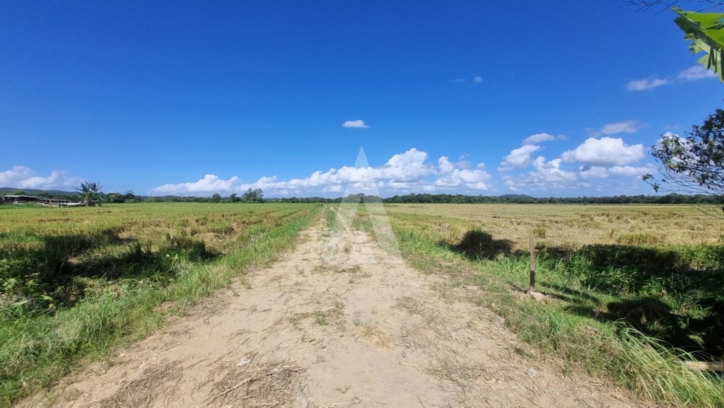 Terreno para alugar por R$ 15000.00, 10000.00 m2 - MORRO DO MEIO - JOINVILLE/SC — foto 3
