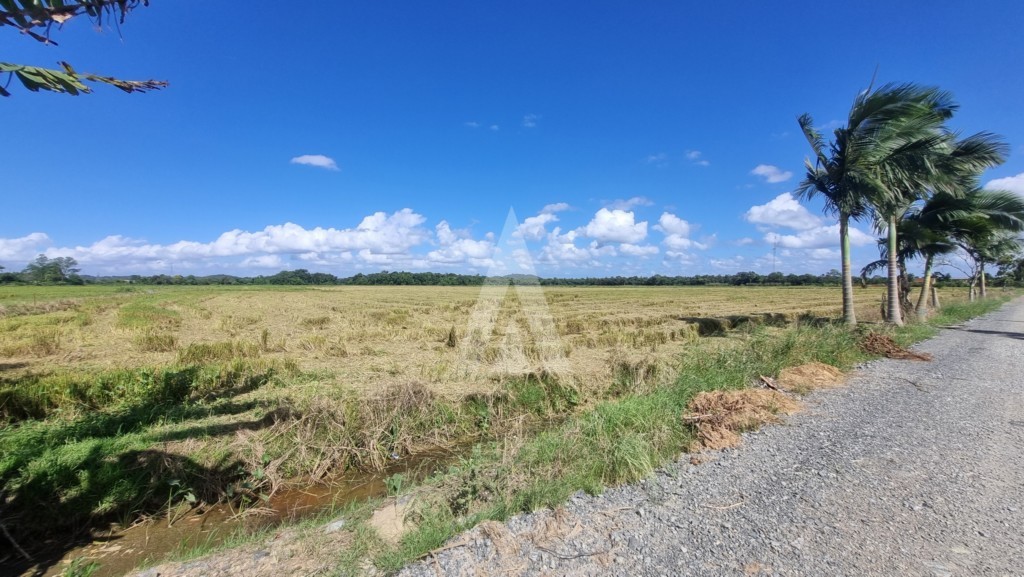 Terreno para alugar por R$ 15000.00, 10000.00 m2 - MORRO DO MEIO - JOINVILLE/SC — foto 4