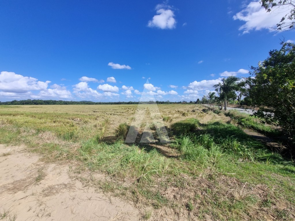 Terreno para alugar por R$ 15000.00, 10000.00 m2 - MORRO DO MEIO - JOINVILLE/SC — foto 6