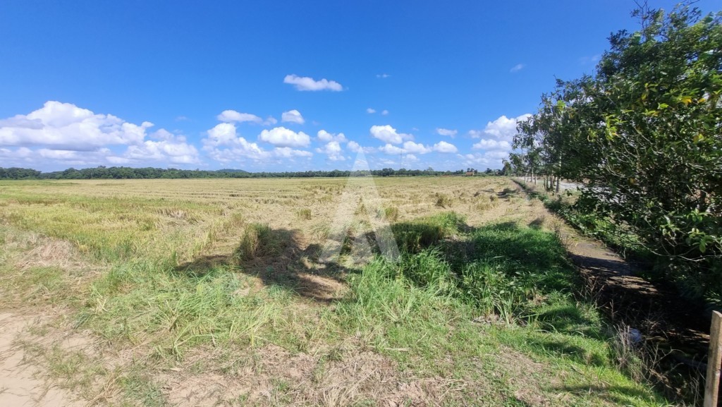 Terreno para alugar por R$ 15000.00, 10000.00 m2 - MORRO DO MEIO - JOINVILLE/SC — foto 7