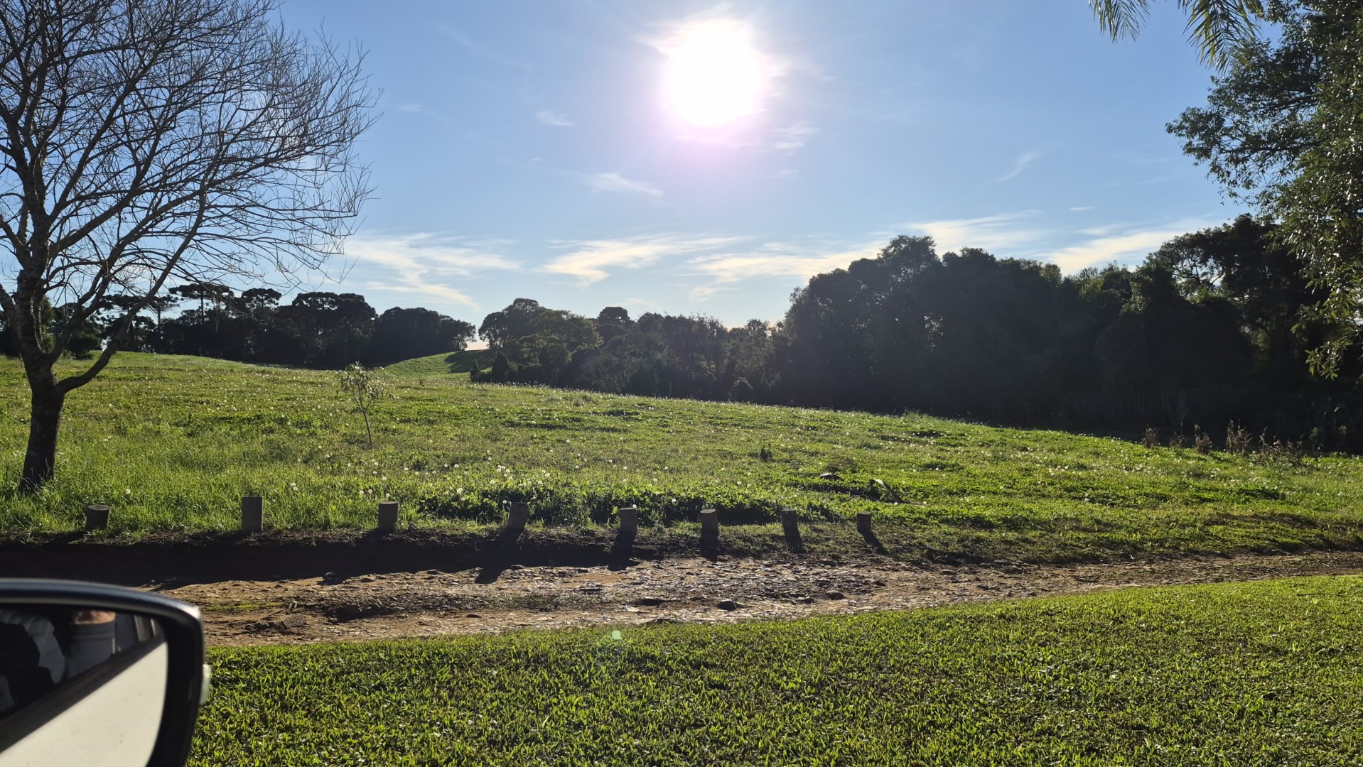 Terreno/Área à venda em Ferraria, Campo Largo — Portal Chave Fácil