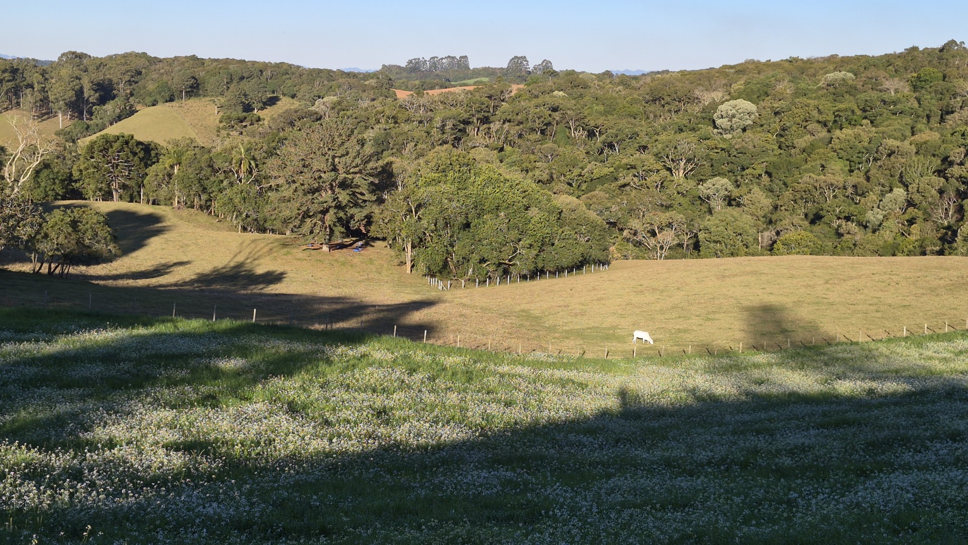 Terreno/Área à venda em Ferraria, Campo Largo — Portal Chave Fácil