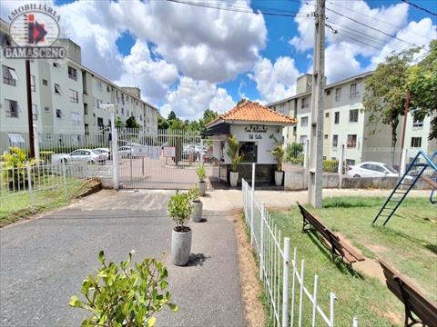 Apartamento para venda no Campo Comprido em Curitiba com 55m² por R$ 219.000,00