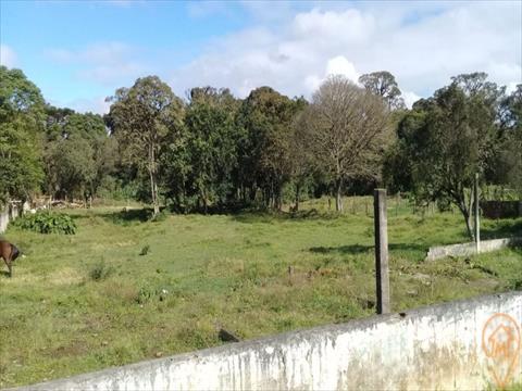Terreno para venda no Iguaçú em Fazenda Rio Grande/PR com 2.580m² por R$ 992.000,00