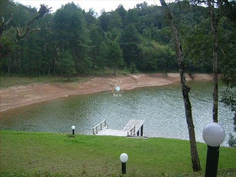 Chacara para venda no Lagoinha em Tijucas do Sul com 21.945m² por R$ 800.000,00